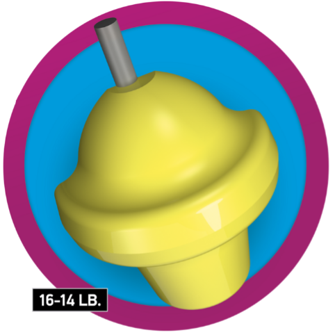 Núcleo
